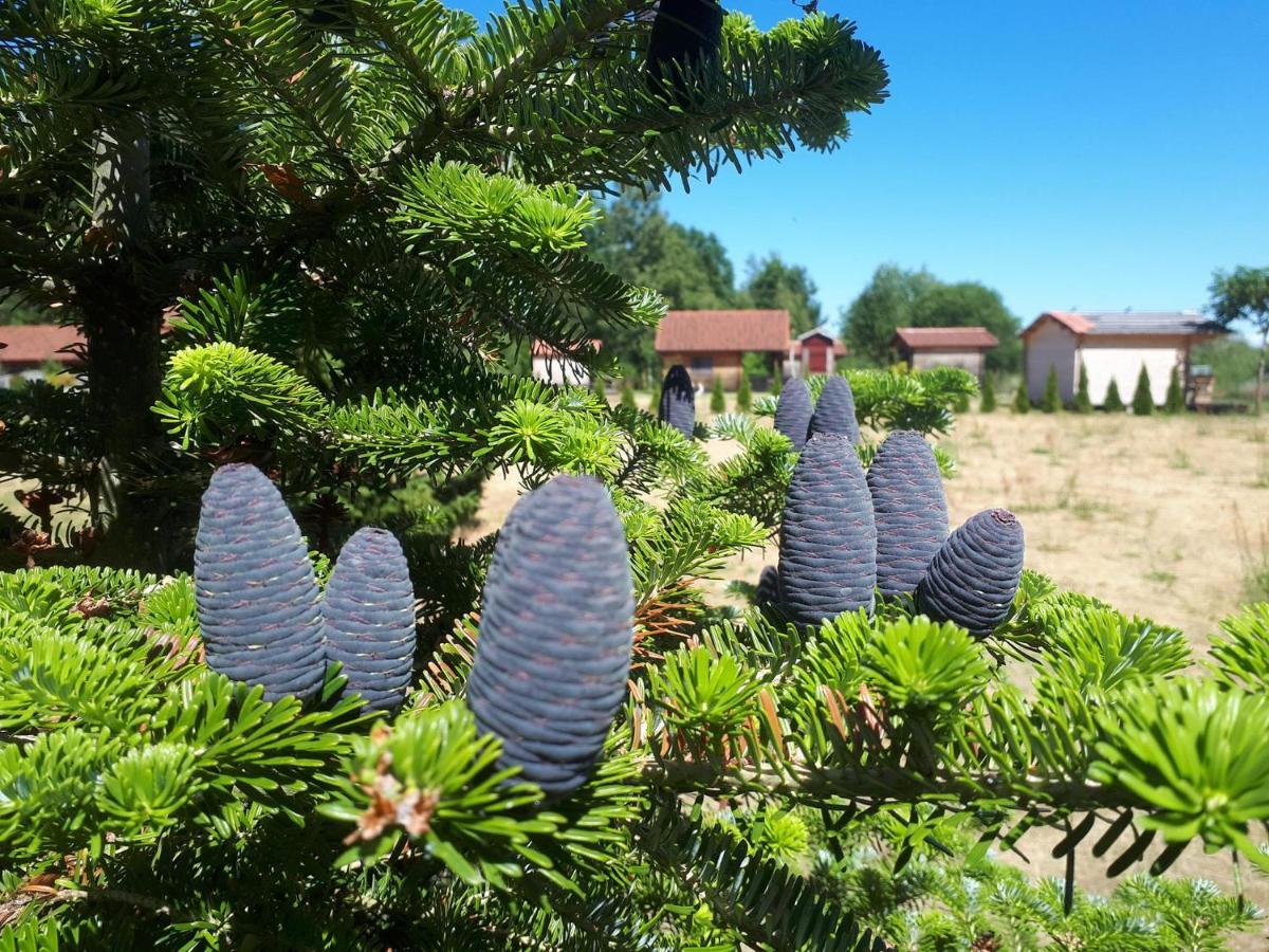 Vilusi Paeevatalu Camping酒店 外观 照片