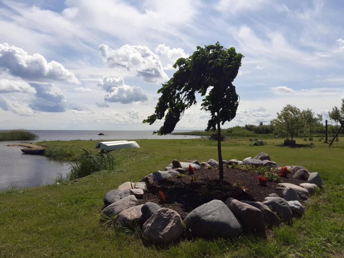 Vilusi Paeevatalu Camping酒店 外观 照片