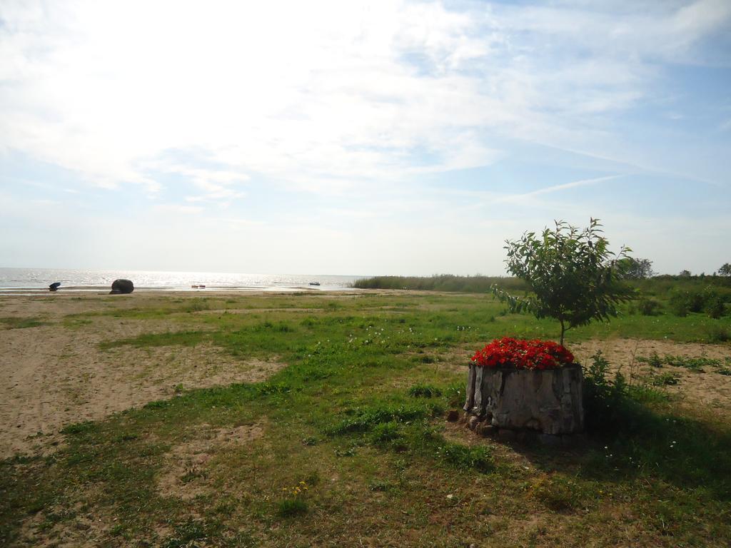 Vilusi Paeevatalu Camping酒店 外观 照片